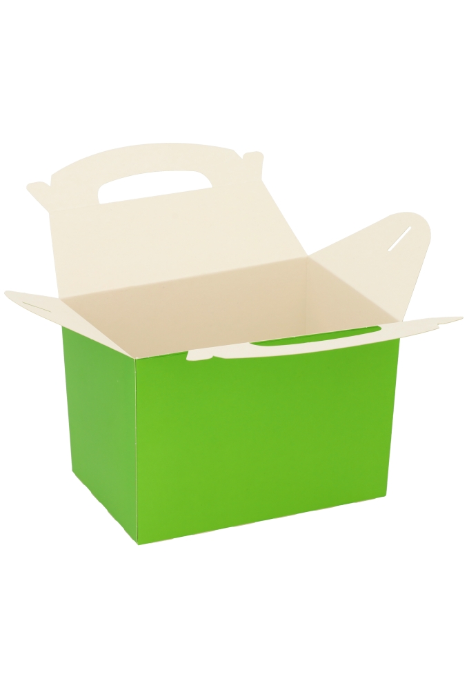 Draagdoos Lunchbox Danau Groen 17.3x11.4x12.3cm 25stuks