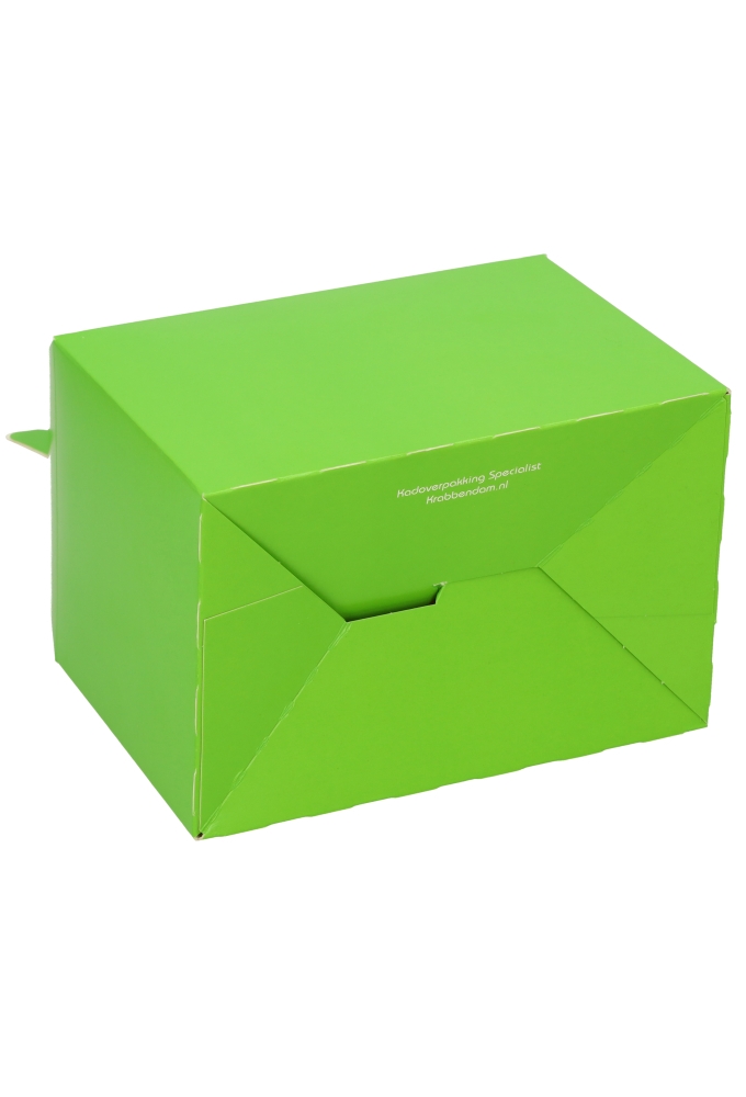 Draagdoos Lunchbox Danau Groen 17.3x11.4x12.3cm 25stuks