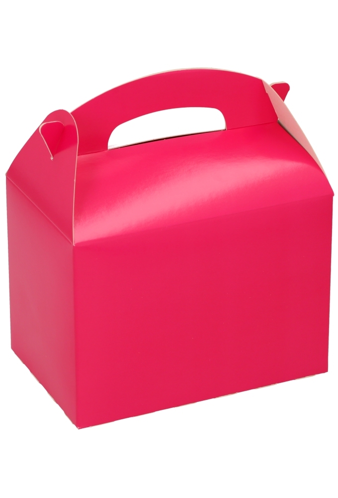 Draagdoosjes Danau Fuchsia 17.3x11.4x12.3cm 25st