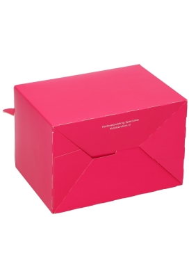 Draagdoosjes Danau Fuchsia 17.3x11.4x12.3cm 25st