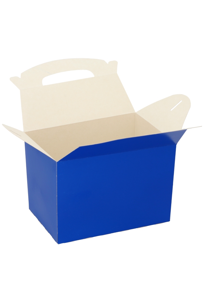 Draagdoos Lunchbox Danau Blauw 17.3x11.4x12.3cm 25stuks