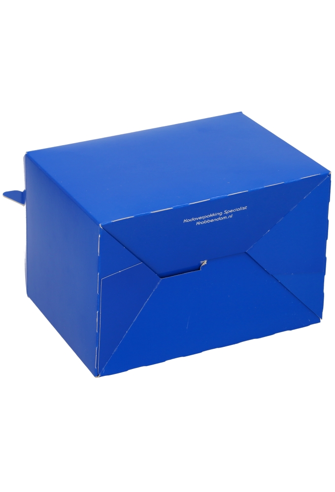 Draagdoos Lunchbox Danau Blauw 17.3x11.4x12.3cm 25stuks