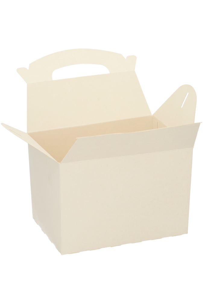 Draagdoos Lunchbox Budget Wit 17.3x11.4x12.3cm 175stuks