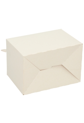 Draagdoos Lunchbox Budget Wit 17.3x11.4x12.3cm 175stuks
