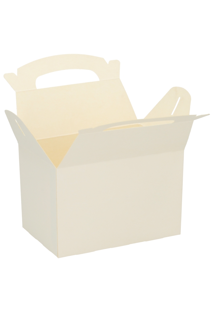 Draagdoos Lunchbox Budget Wit 15.2x10x10.2cm 225stuks