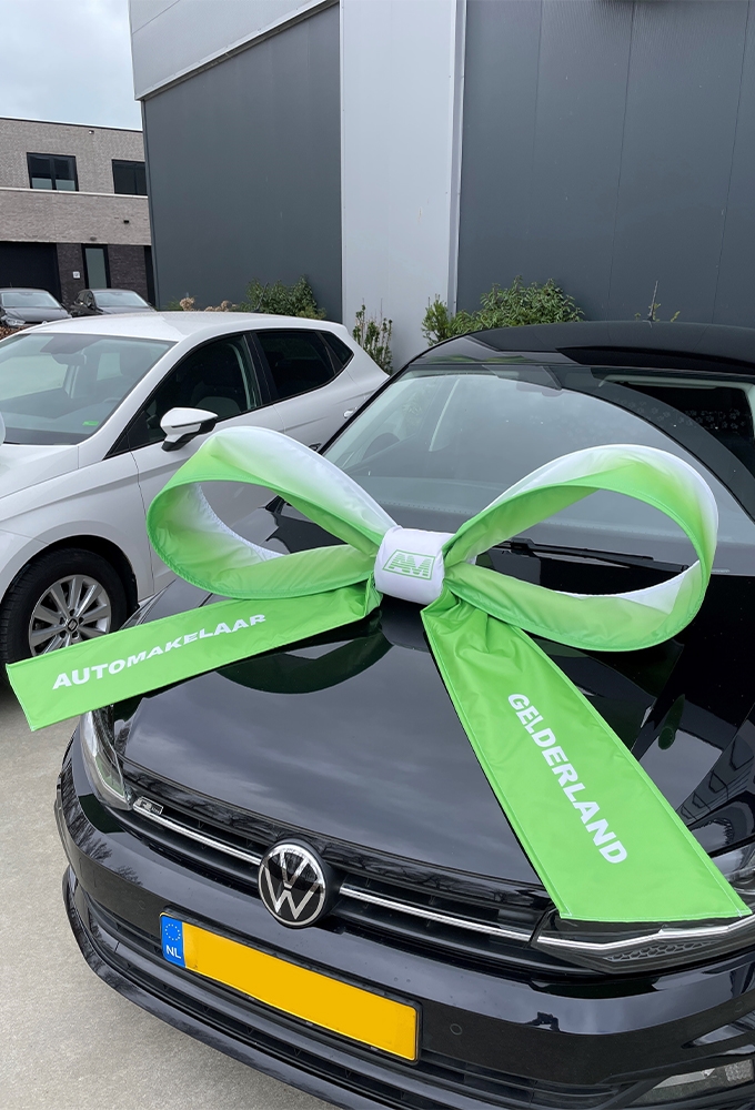 Autostrik Salerno Custom Made Polyester 120x100x50cm Lint & Zuignap 