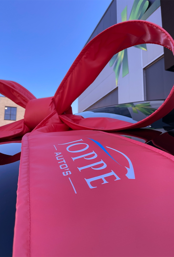 Autostrik Salerno Custom Made Polyester 120x100x50cm Lint & Zuignap 