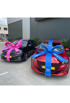 Autostrik Salerno Custom Made Polyester 120x100x50cm Lint & Zuignap Autostrik Salerno Custom Made Polyester 120x100x50cm Lint & Zuignap