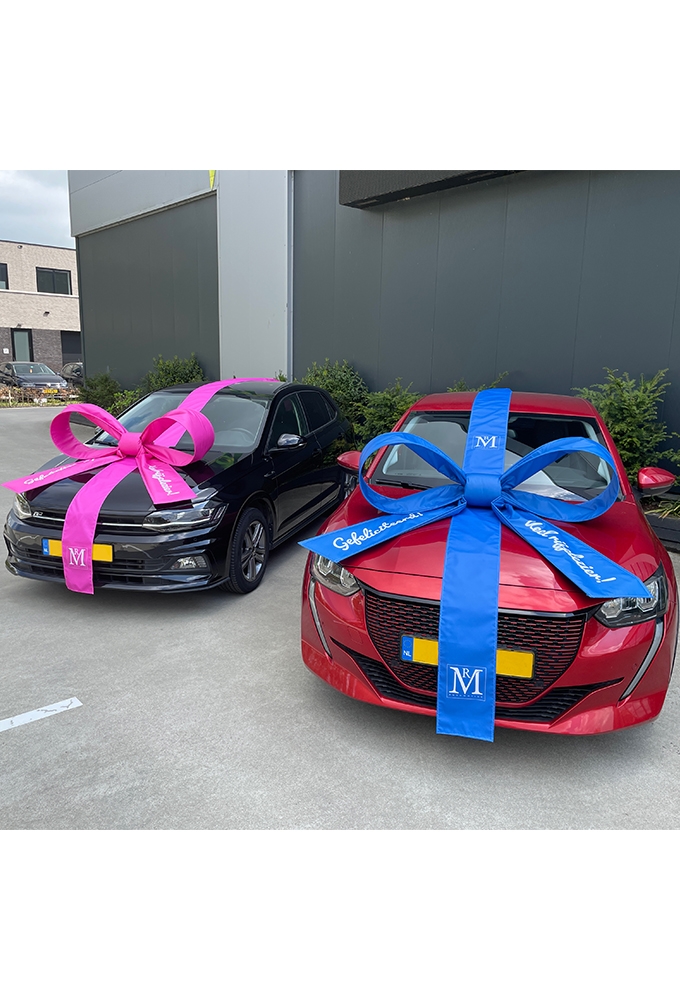 Autostrik Salerno Custom Made Polyester 120x100x50cm Lint & Zuignap 