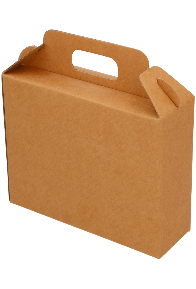 Geschenkdoos 3 Flesjes Dozza Glad Naturel 19x6x15cm 10stuks