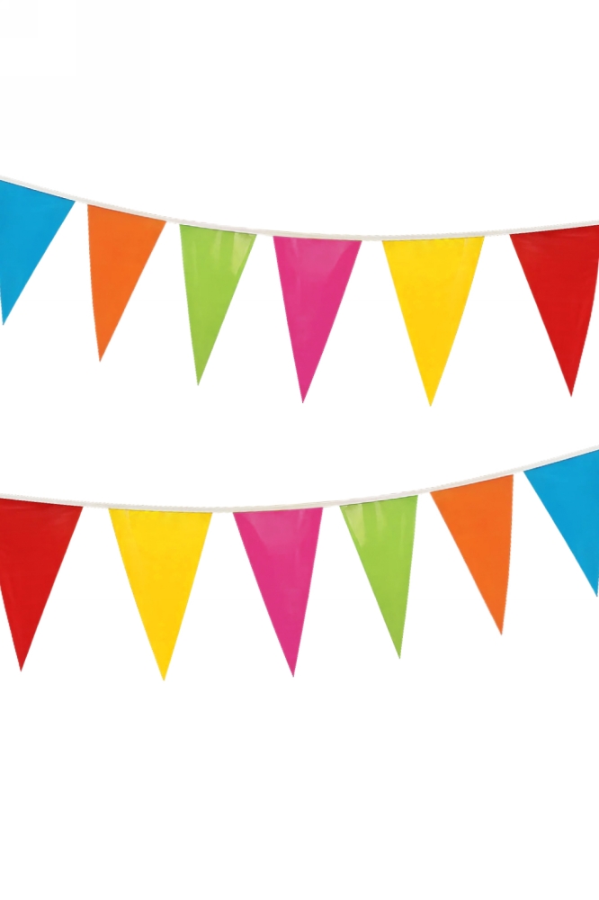 Vlaggenlijn Multi Kleuren 20x30cm lengte 10 meter