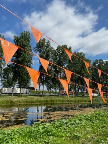 Vlaggenlijn Oranje 20x30cm lengte 10 meter