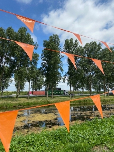 Vlaggenlijn Oranje 20x30cm lengte 10 meter