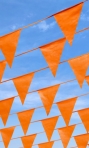 Vlaggenlijn Oranje 20x30cm lengte 10 meter