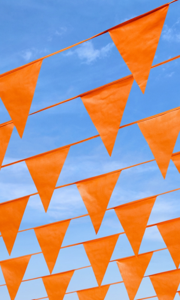 Vlaggenlijn Oranje 20x30cm lengte 10 meter