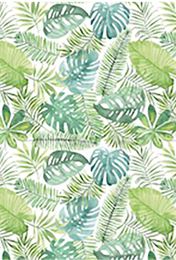Geschenkpapier Coated Groen-witte palmbladeren 50cm x 200meter