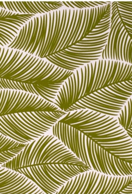 Geschenkpapier Coated Olijfgroene tropisch 50cm x 200meter Geschenkpapier Coated Olijfgroene tropisch 50cm x 200meter