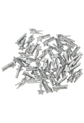 Houten Decoratie Mini Ster Zilver Met Mini Knijper 2.5 x 1.5cm 50stuks Houten Decoratie Mini Ster Zilver Met Mini Knijper 2.5 x 1.5cm 50stuks