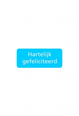 Etiketten Feest Hartelijk Gefeliciteerd Blauw 3.8x1.6cm 500stuks Etiketten Feest Hartelijk Gefeliciteerd Blauw 3.8x1.6cm 500stuks