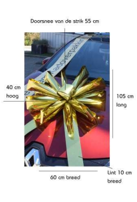 Magnum Bows Maxi Strik Nederland Strik d60x105cm 30 Lussen