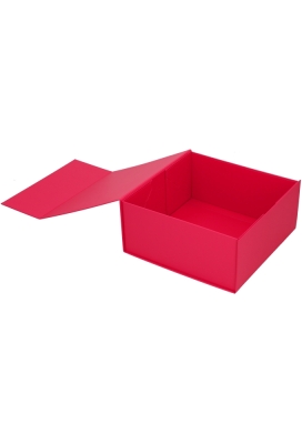 Luxe Magneetdozen New York Mat Fuchsia 22x22x10cm 1200gr 25stuks