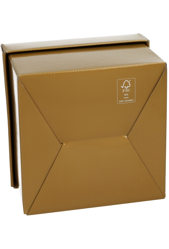 Luxe Geschenkdoos Torino Goud Glossy FSC® 20x20x15cm 20stuks
