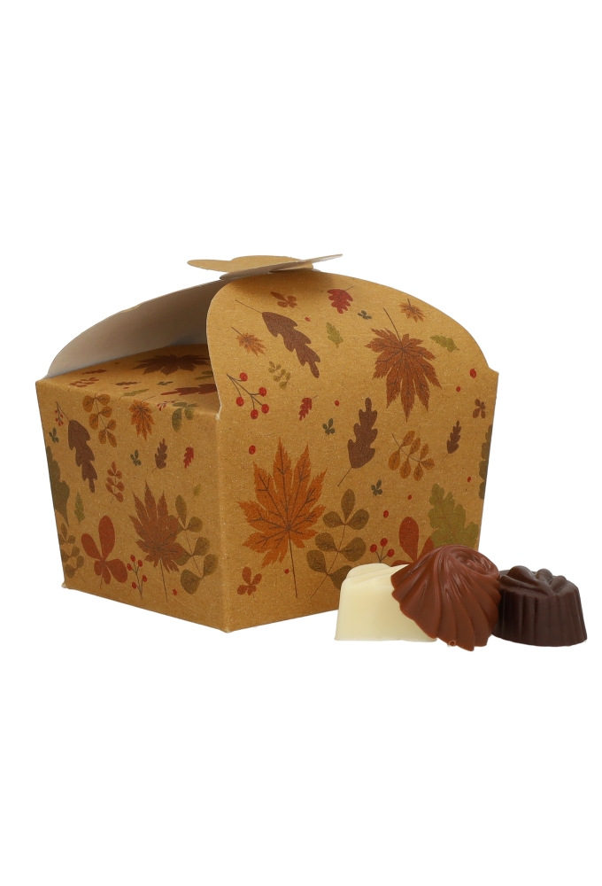 Bonbondoosjes Todi Kraft Herfstblaadjes 250gram 9.5x7.5x6cm 25stuks