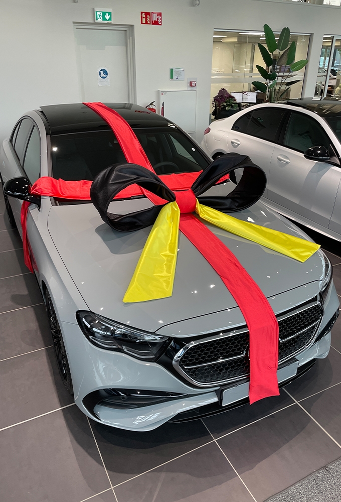 Super Autostrik Salerno Duitsland 120x100x50cm Met Lint En Zuignap