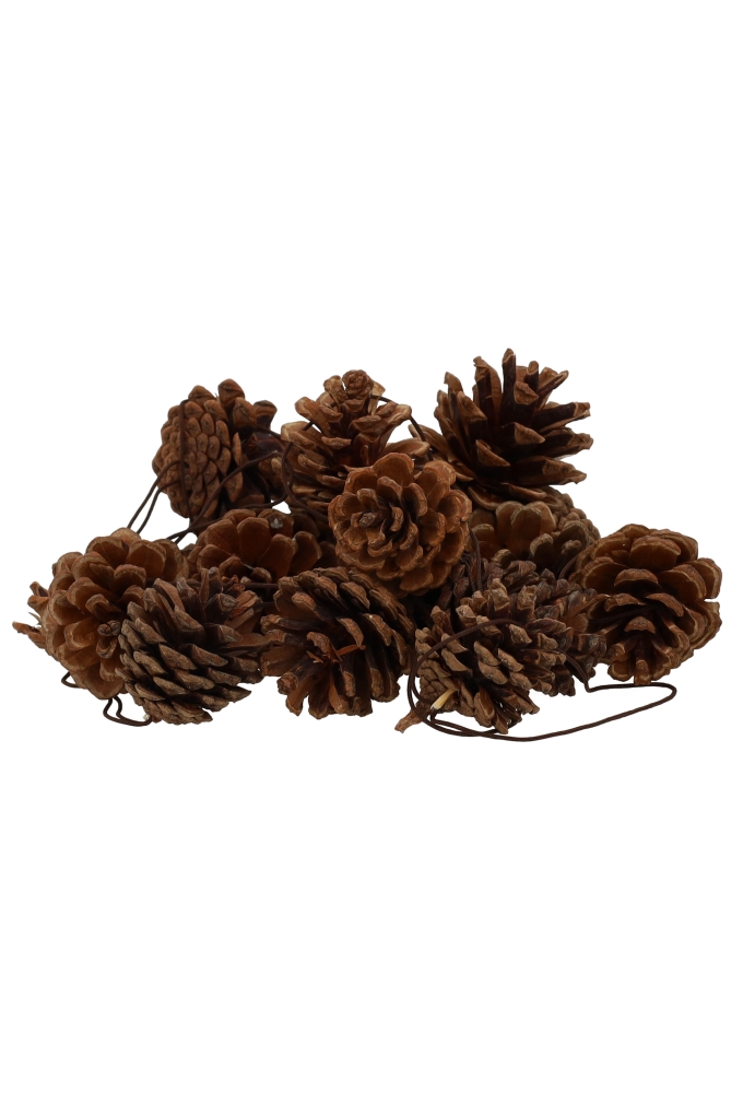 Decoratie Dennenappels Naturel Met Koord 5cm 50stuks