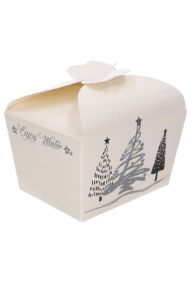 Bonbondoosjes Enjoy Winter 500gr Vlindersluiting 11.5x9x7cm 16stuks