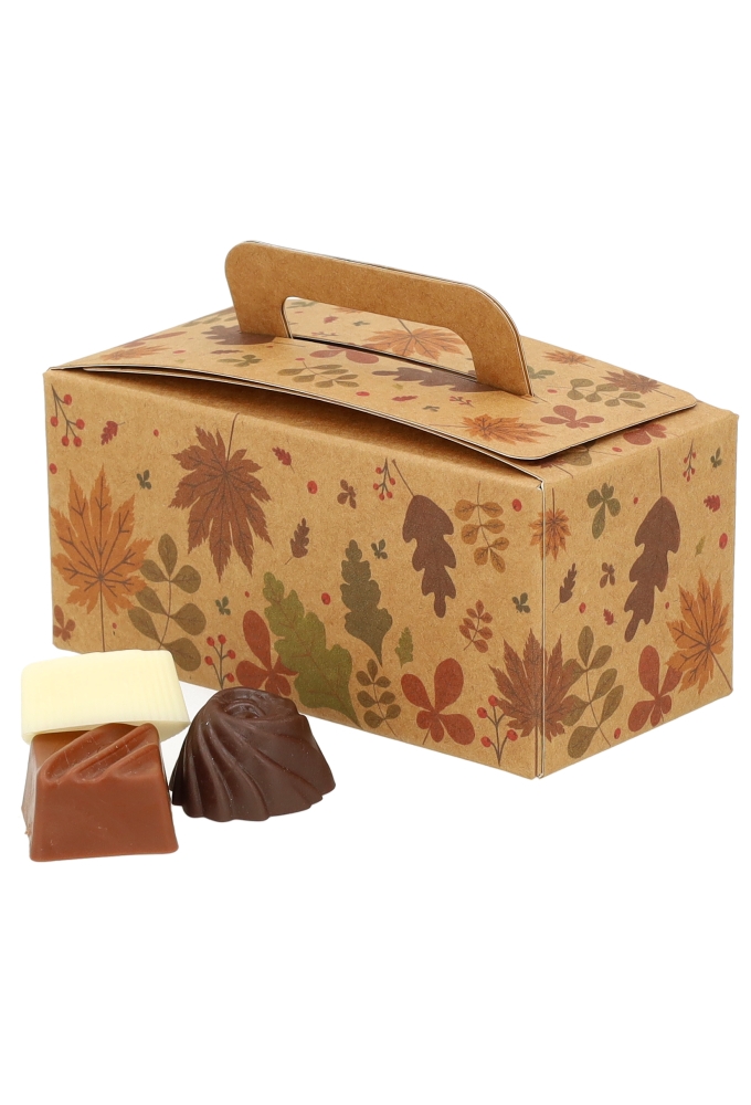 Bonbondoosjes Herfst Koffertje Kraft 12x6.5x5.5cm 250gram 25stuks