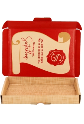 Brievenbusdoos De Postrol van de Sint 22x15.5x2.8cm 10stuks