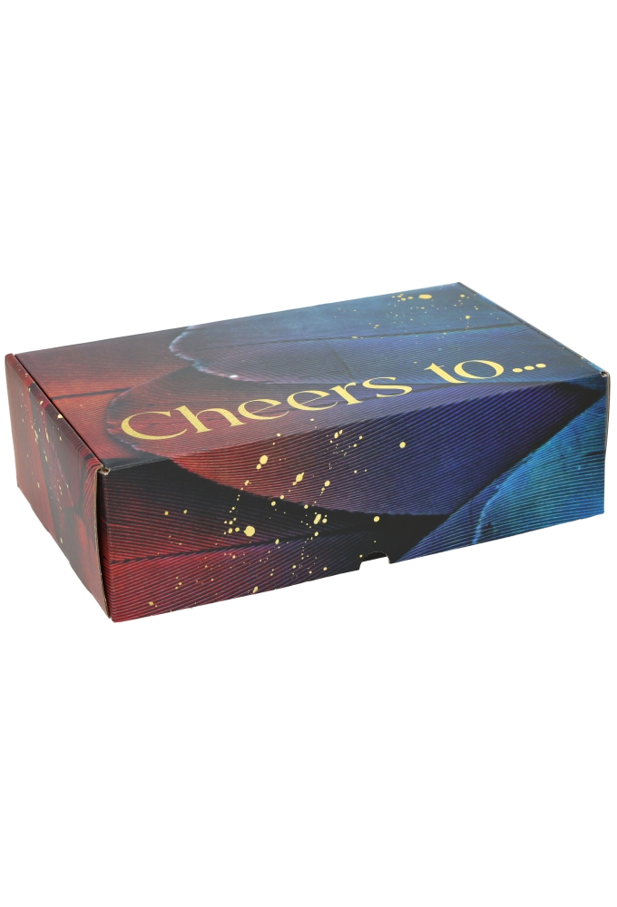 Wijnverpakking Zwart Cheers 2-Fles 31x18x9cm 25stuks