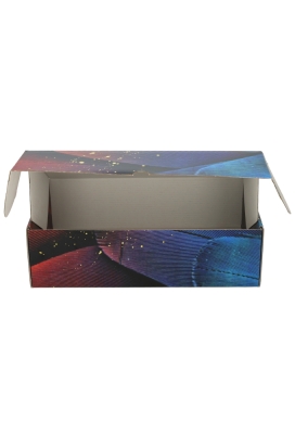 Wijnverpakking Zwart Cheers 2-Fles 31x18x9cm 25stuks