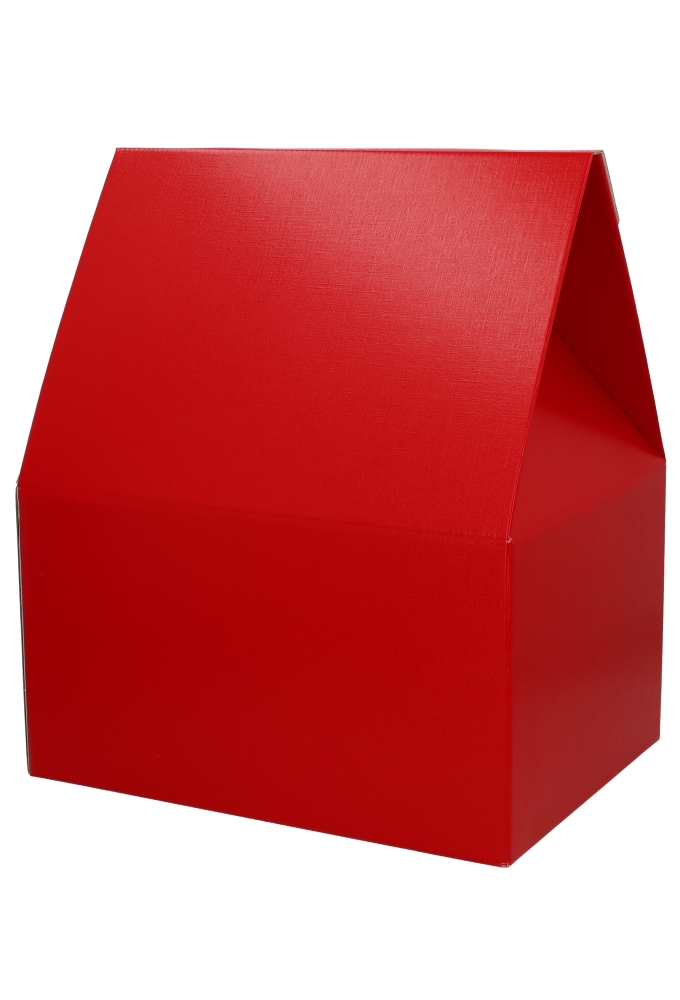 Geschenkdoos Draagbox Red 33x25x39cm 30stuks