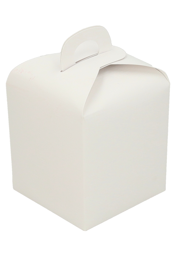 Kubus Geschenkdoosjes Wit Relief Met Hengsel 10x10x10cm 10stuks