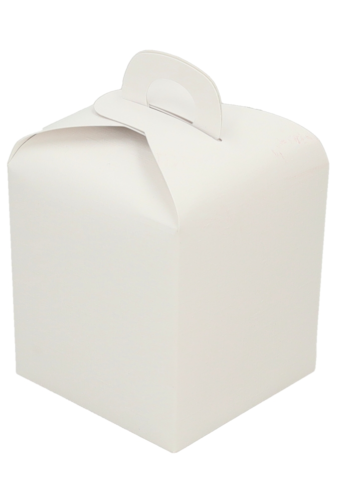 Kubus Geschenkdoosjes Wit Relief Met Hengsel 10x10x10cm 10stuks