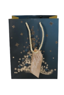 Kersttasjes Medium Lighting Christmas Tree 18x10x23cm 9stuks Kersttasjes Medium Lighting Christmas Tree 18x10x23cm 9stuks