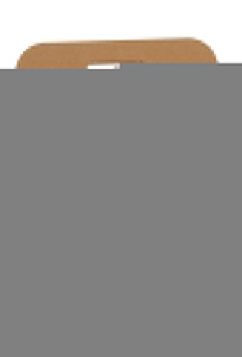 Bierverpakking Draagdoos Berlin Topclusters Kraft voor 6 flesjes 10st