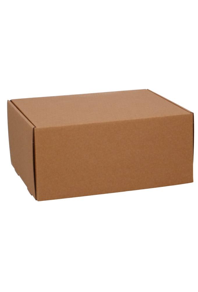 Verzenddoos Klepdoosje Budget Fast Naturel 27x20x12cm 20stuks