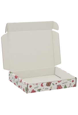 Brievenbusdoos Kerst A6 16x11.5x2.8cm 10stuks Brievenbusdoos Kerst A6 16x11.5x2.8cm 10stuks
