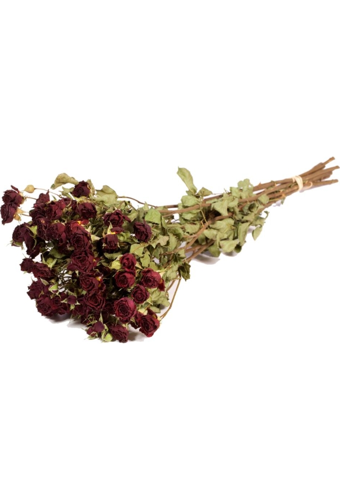 Droogbloemen Roses Spray Natural Red 50cm 10stuks Droogbloemen Roses Spray Natural Red 50cm 10stuks