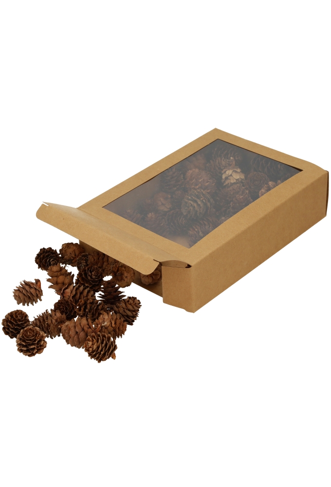 Decoratie Dennenappels Naturel 2.5cm ongeveer 50stuks