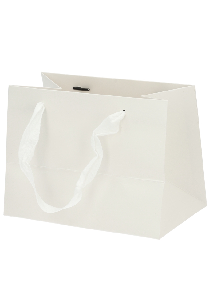 Kadotasjes Trazo Wit Mat Met PET Venster FSC® 18x11x13.5cm 10stuks Kadotasjes Trazo Wit Mat Met PET Venster FSC® 18x11x13.5cm 10stuks