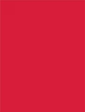 Geschenklint Breed Stof Rodos Rood 18cm x 50meter OP IS OP