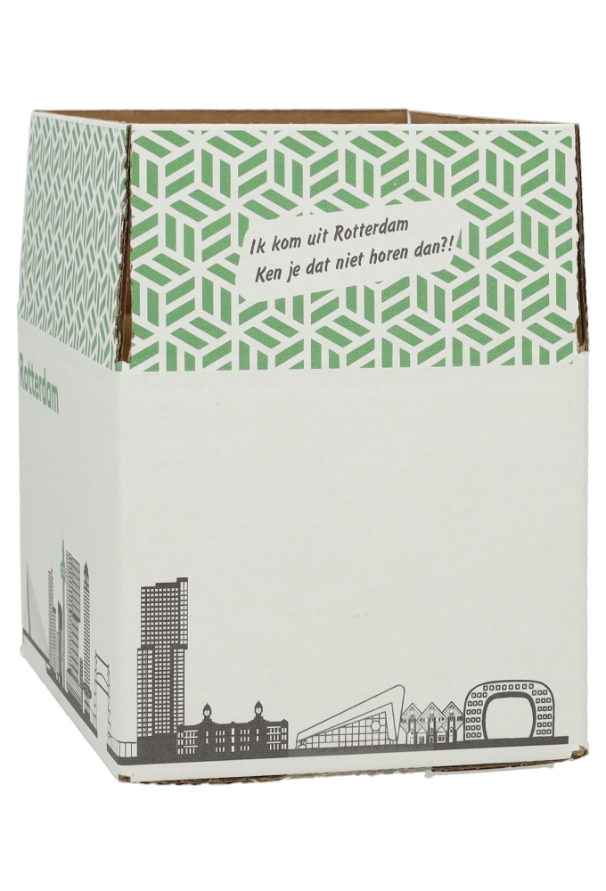 Geschenkdozen Rotterdam 21.5x15x12cm 30stuks