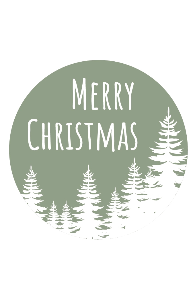 Etiketten Kerst Christmas Tree Fijne Feestdagen Groen 3.9m 250stuks Etiketten Kerst Christmas Tree Fijne Feestdagen Groen 3.9m 250stuks