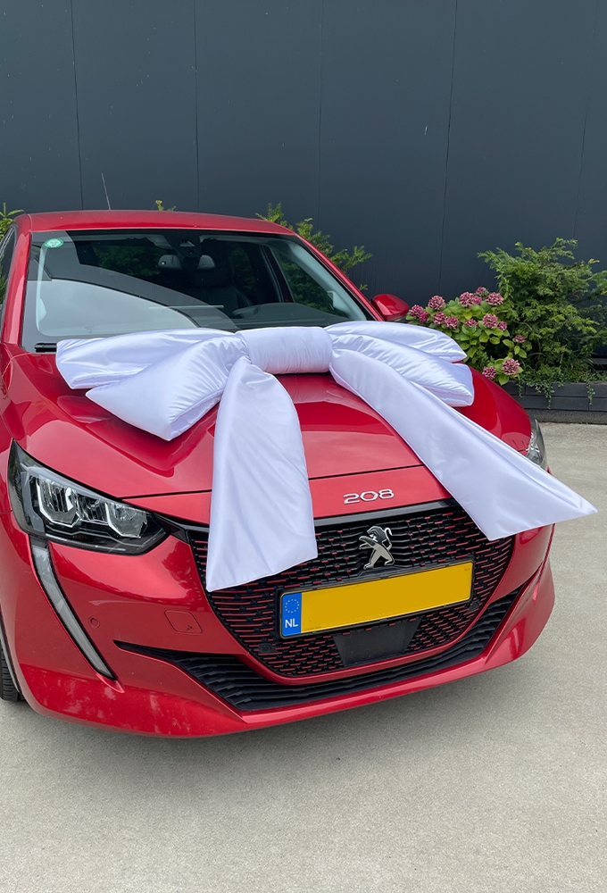 Megastrik Dubbel Wit Lucca 120x50+55cm & Zuignap lint 25cm