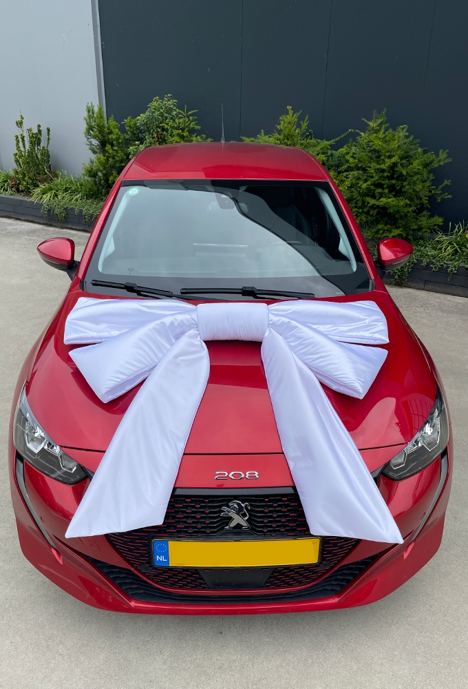 Megastrik Dubbel Wit Lucca 120x50+55cm & Zuignap lint 25cm