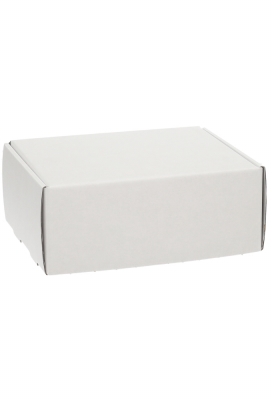 Verzenddoos Klepdoosje Budget Fast Wit Mat 20.5x16x8cm 10stuks